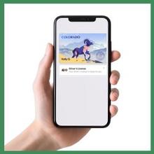 photo of a hand holding an iphone that displays a Colorado ID on iPhone