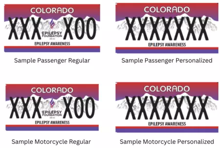 Epilepsy Awareness License Plate