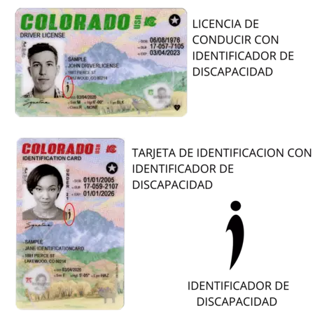 Muestras de Licencia de Conducir y Tarjeta de Identidad