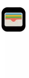 Apple Wallet Icon Logo