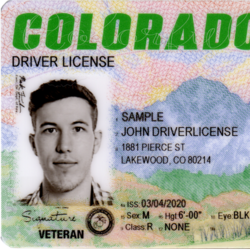 colorado driver license number dd