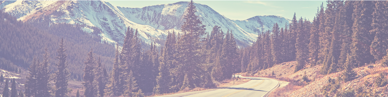 Road going through trees in the mountains