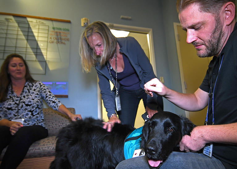 DMV Team Members pet a service dog