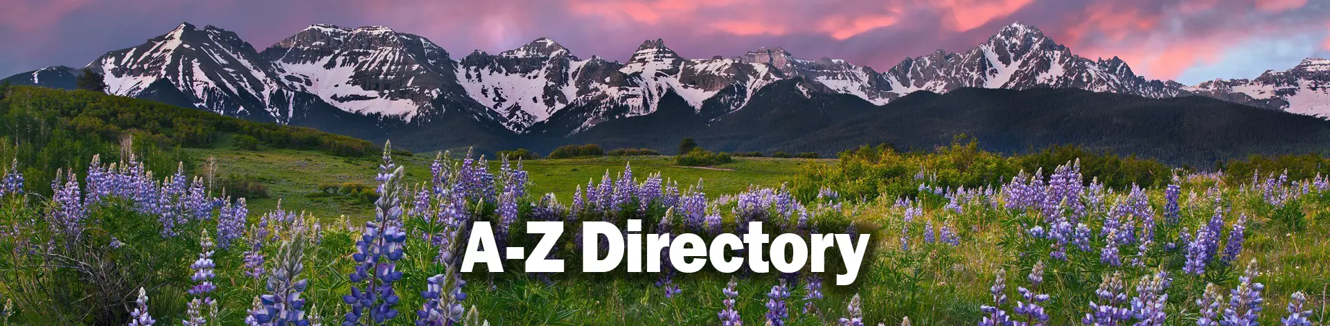 Landscape view of Colorado mountains with a field of lilacs. The words A - Z Directory is an overlay on the meadow.